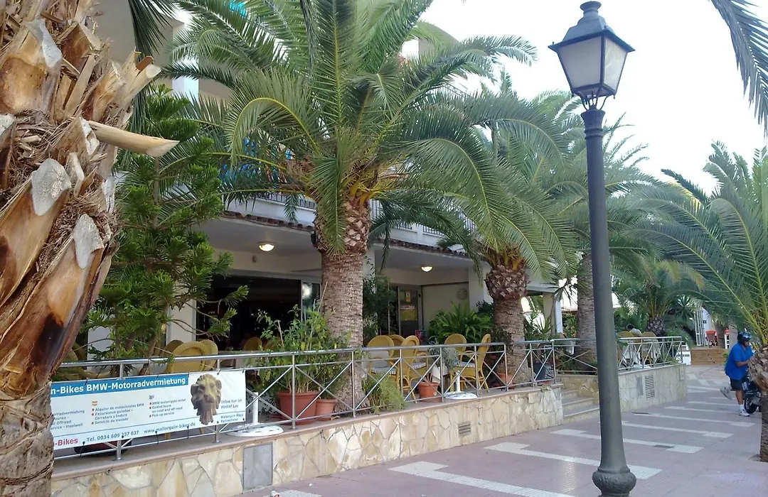 Hostal Leo D'Or-1